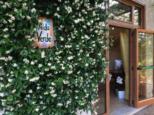 Bomerano Hotel | Nido Verde