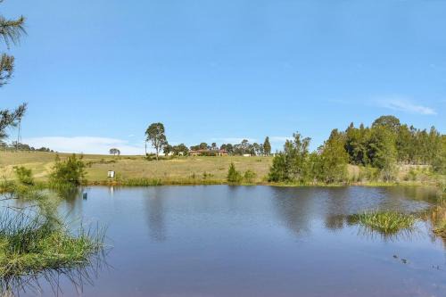Allandale House | Noble Willow Studio Lovedale. A Cosy Unique Wine Country Refuge