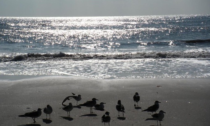 Ventnor City Hotel | North Beach Hotel