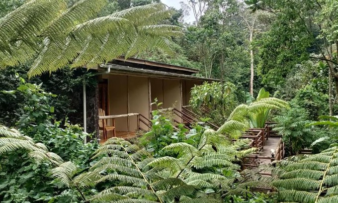 Western Region Hotel | Nshongi Camp