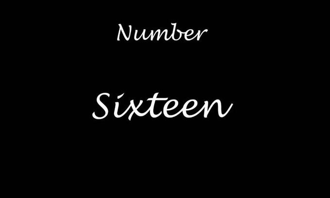 North Bitchburn House | Number Sixteen
