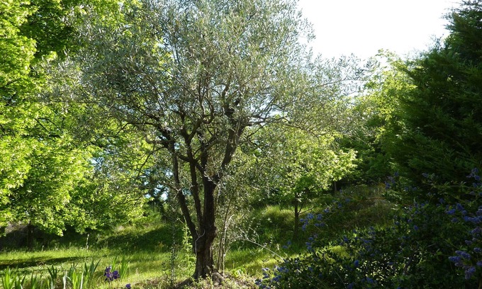 Nyons Cottage | NYONS Autonomous Logis for 4 to 6 people in a quiet Mas with scents of Provence