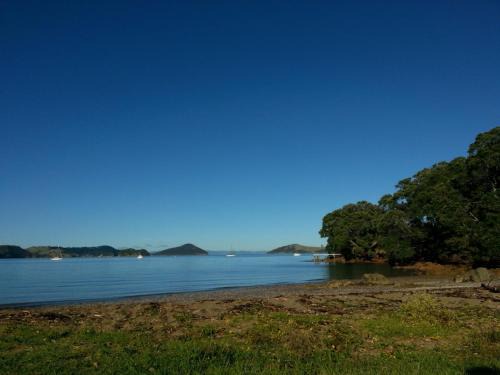 Coromandel Resort | Oamaru Bay Tourist Park