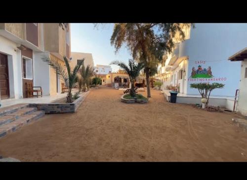 Dahab Hotel | Oasis Fighting Kangaroo