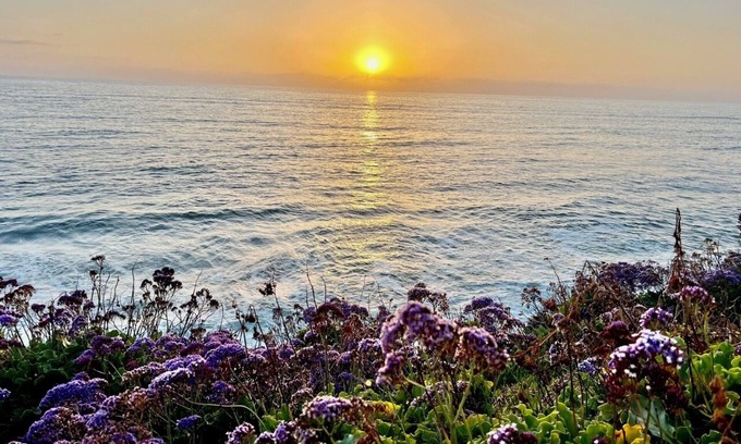 San Diego Cottage | Ocean and Sunset Paradise in Ocean Beach
