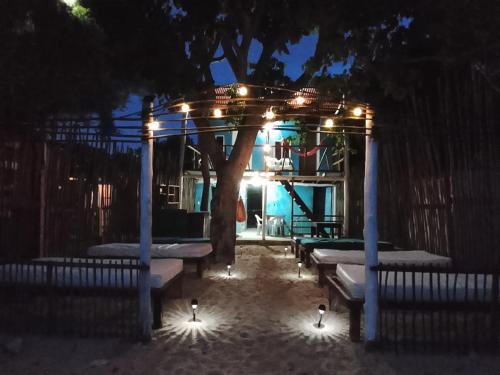 Bocachica House | Oceans