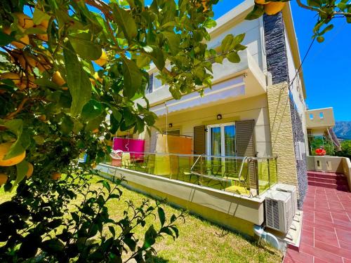 Vassiliki Apartment | Octopus