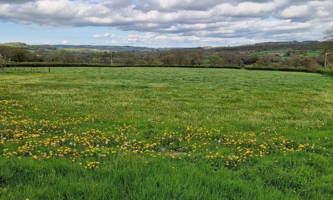 Chard Apartment | Old cow byre refurbished into a modern studio in an idyllic rural location.
