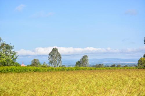 Nyeri County Apartment | Ole-Lekurruki Naromoru