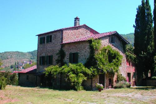 Pieve al Bagnoro Villa | Olivo