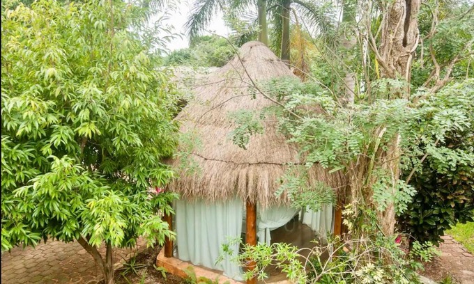 Alfredo V. Bonfil Apartment | OMA CANCUN - Holistic Healing Center