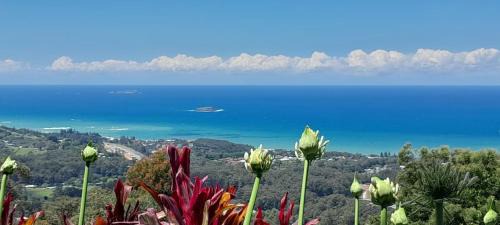 Korora Apartment | ON TOP Of THE WORLD Garden Studio