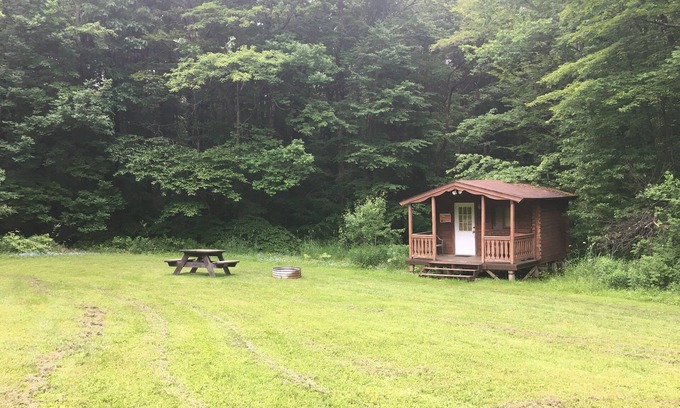Dryden Cabin | One Room Log Cabin in beautiful Woodland Campground