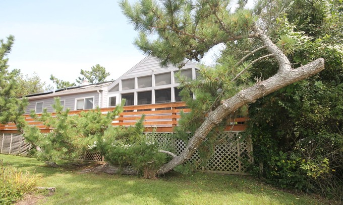 Cape May Point Condo | Only 2 short blocks to the beach! Fabulous 4 bedroom, 2.5 bath Cape May Point Cottage with living space on one level.