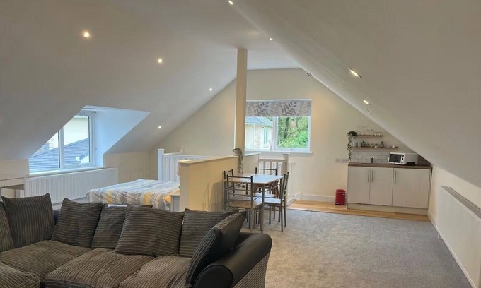 Lydiard Millicent Apartment | Open Plan Studio Apartment