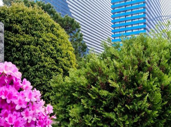 New Boulevard Apartment | ORBY CITY HOTEL 5*