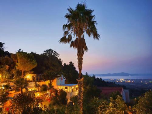Lagoudi Zia Apartment | Orea Ellas Kos - Apartments & Bistro-Café