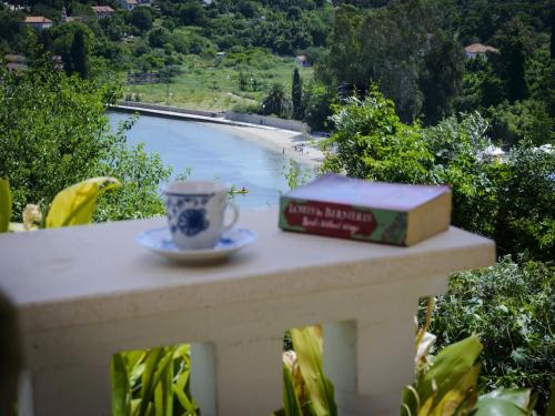 Kolocep Island Apartment | Oreb Dream Apartments - One Bedroom Apartment with Terrace and Sea View Apartment 1