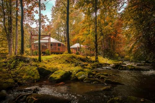 Topton Villa | Otter Creek Luxury Yurt - Creekside Glamping with Private Hot Tub