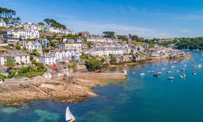 Fowey House | Oystercatcher