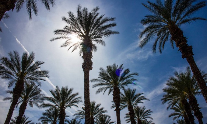 Palm Desert House | Palm Springs RV Resort