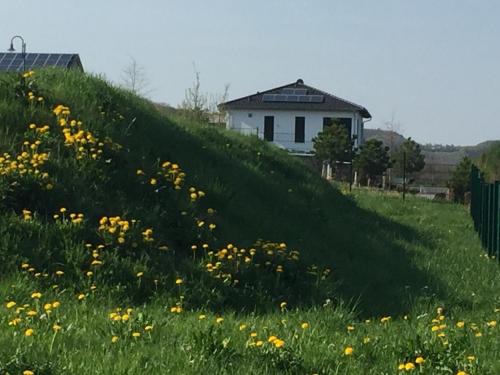 Adenau Apartment | Panoramablick