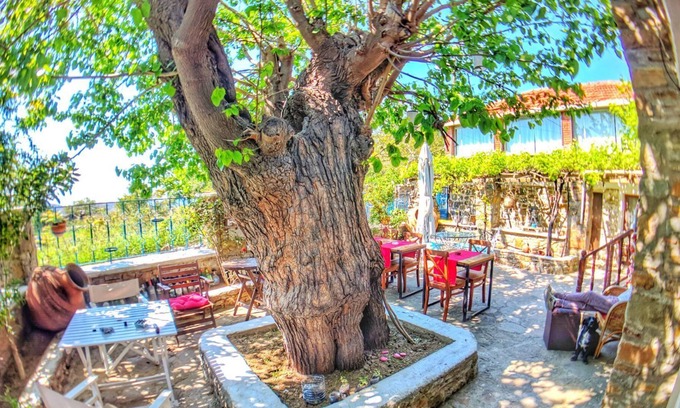 Gokceada Hotel | Panos Ciftlik