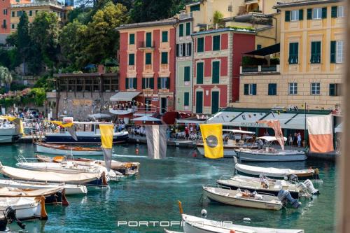 Portofino Apartment | Papù by PortofinoVip