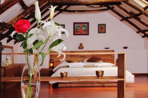 Downtown La Paz Hotel | Patio de Piedra Hotel Boutique