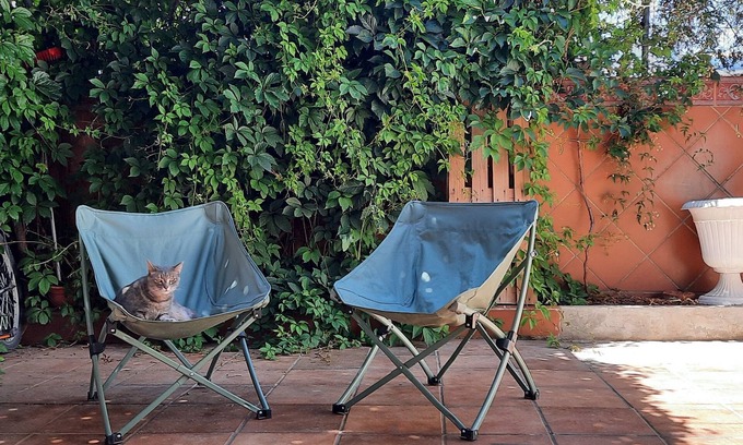 Barrio de la Vega Condo | Patio Tipique Andalous, à 10 mnt de L'alhambra, Animaux de Compagnie Acceptés