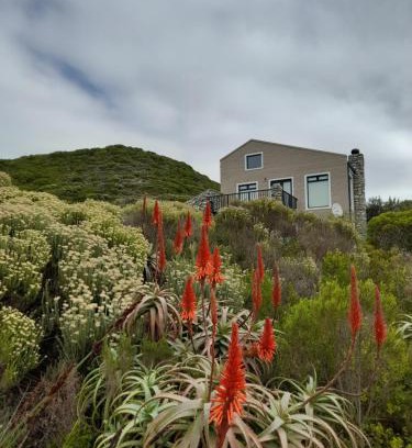 Betty's Bay Apartment | Peaceful Seaside Cottage, Betty's Bay Accommodation