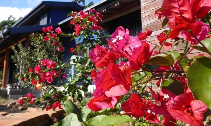 Yakushima Bed & Breakfast | Pension Blue Drop