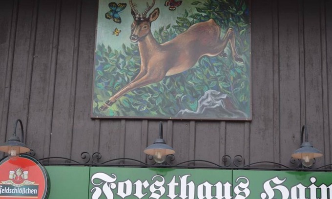 Oybin Cottage | Pension Forsthaus Hain - Double room Cat. A