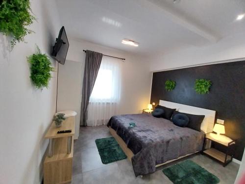 Borsa Apartment | Pensiunea Ideal