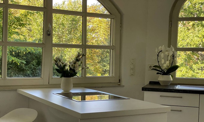Bad Homburg v.d. Hoehe Apartment | Penthouse apartment with garden in Bad Homburg