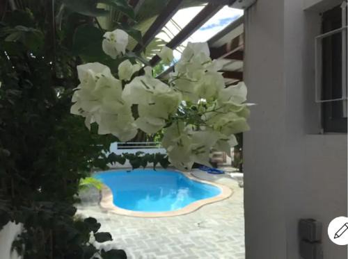 Pereybere House | Pereybere Villa Valari with Pool Near Beach