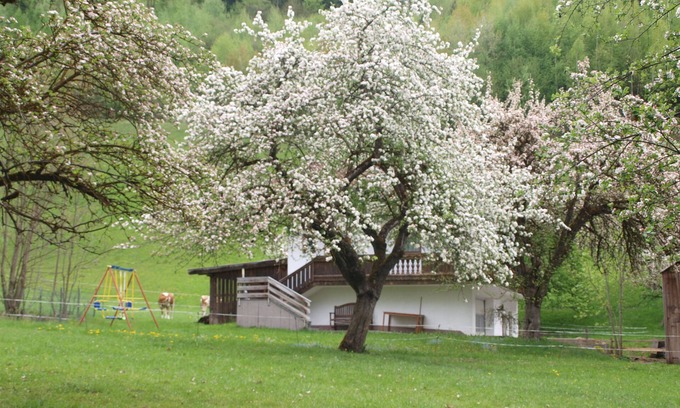 Helfenstein Ski Chalet | PERFECT HIDEAWAY House of nature - a luxury Chalet in a very idyllic area