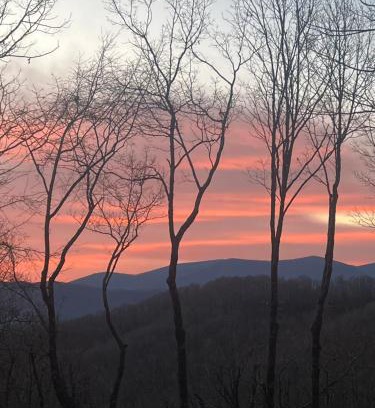 Blue Ridge House | Pet Friendly Cabin-Fall Colors, Fireplace-Firepit-Stunning Views
