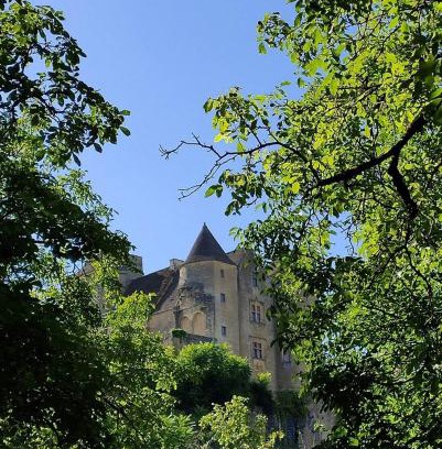Salignac-Eyvignes House | Petite maison en pierre au coeur du Périgord noir proche de Sarlat et Rocamadour