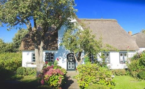 Midlum House | Petrine/s Hüs