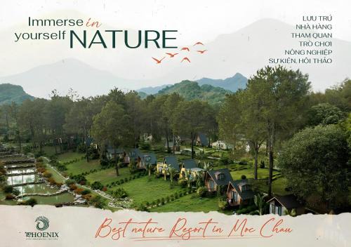 Moc Chau Hotel | Phoenix Mộc Châu Resort