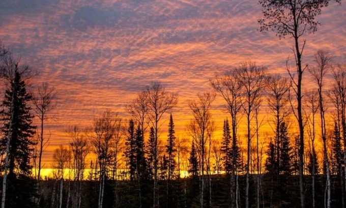 Hovland Cabin | Phoenix Rising Off-Grid Amish crafted log cabin near the BWCA & SHT - Sled Dogs!