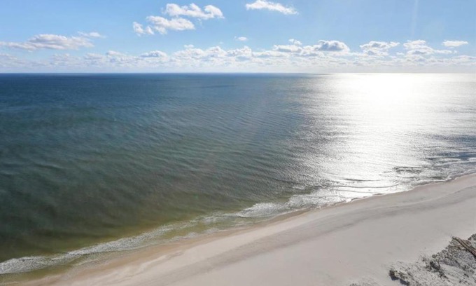 Orange Beach Hotel | Phoenix West II #3008