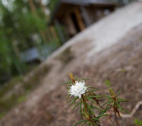 Orivesi Ski Chalet | Pielppa Lodge