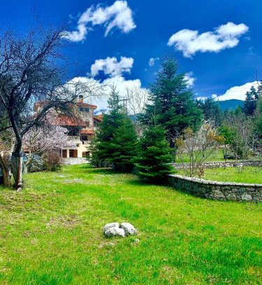 Arachova Apartment | Pine Lodge by Ski Alure