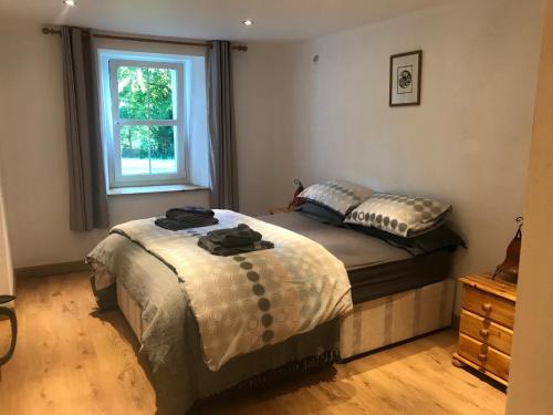 Deiniolen Apartment | Plas Eryr apartment