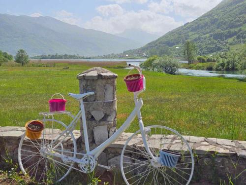 Plav Other | Plav Lake Camping