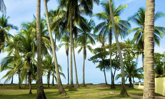 Parrita House | Playa Palo Seco, Parrita, Costa Rica. Tropical oceanfront three bedroom home.