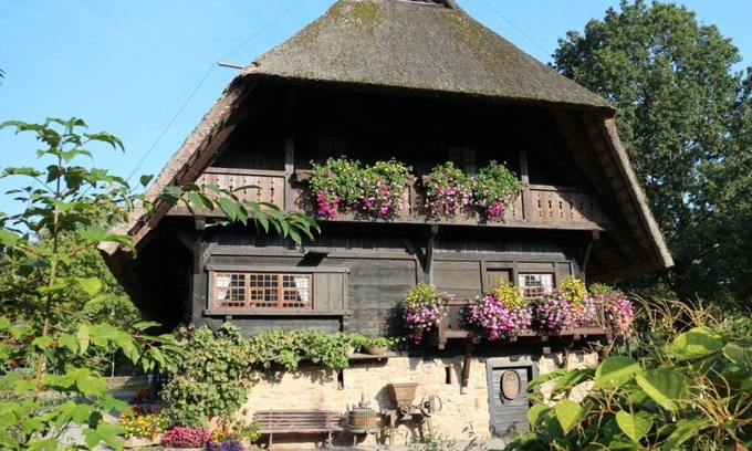 Zell am Harmersbach Apartment | Pleasant apartment in Zell am Harmersbach