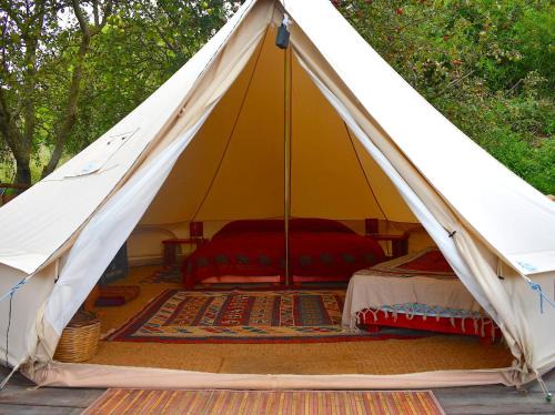 Santa Fiora Other | Podere di Maggio - Glamping tent 3